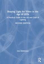 Shaping Light for Video in the Age of LEDs: A Practical Guide to the Art and Craft of Lighting