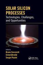 Solar Silicon Processes: Technologies, Challenges, and Opportunities