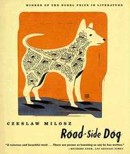 Road-Side Dog