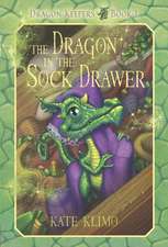 The Dragon in the Sock Drawer