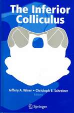 The Inferior Colliculus