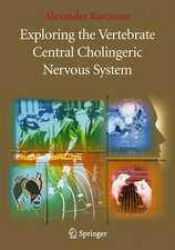 Exploring the Vertebrate Central Cholinergic Nervous System