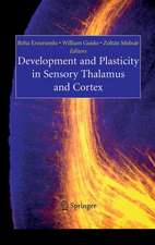 Development and Plasticity in Sensory Thalamus and Cortex