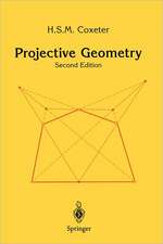 Projective Geometry