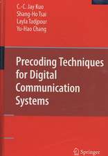 Precoding Techniques for Digital Communication Systems