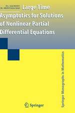 Large Time Asymptotics for Solutions of Nonlinear Partial Differential Equations