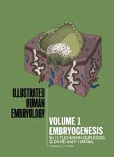 Embryogenesis