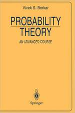 Probability Theory: An Advanced Course