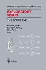 Exploratory Vision: The Active Eye