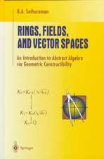 Rings, Fields, and Vector Spaces