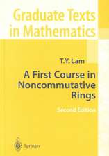 A First Course in Noncommutative Rings