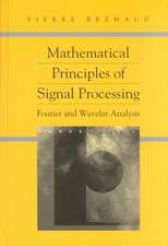 Mathematical Principles of Signal Processing: Fourier and Wavelet Analysis