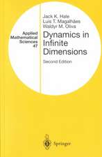 Dynamics in Infinite Dimensions