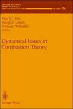 Dynamical Issues in Combustion Theory