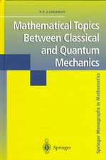 Mathematical Topics Between Classical and Quantum Mechanics