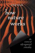 How Nature Works: the science of self-organized criticality