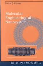 Molecular Engineering of Nanosystems