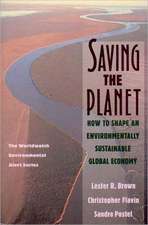 Saving the Planet – How To Shape an Environmentally Sustainable Global Economy (Paper)