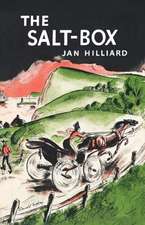 The Salt–Box