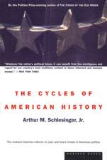 The Cycles Of American History