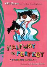 Halfway to Perfect: A Dyamonde Daniel Book