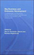 Big Business and Economic Development: Conglomerates and Economic Groups in Developing Countries and Transition Economies under Globalisation