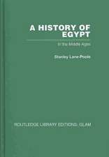 A History of Egypt: In the Middle Ages