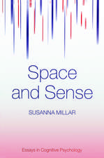 Space and Sense