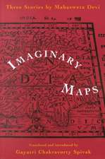 Imaginary Maps