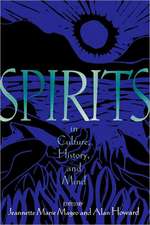 Spirits in Culture, History and Mind