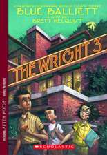 The Wright 3