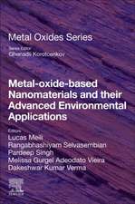 Metal-Oxide-Based Nanomaterials and their Advanced Environmental Applications