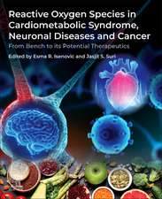 Reactive Oxygen Species in Cardiometabolic Syndrome, Neuronal Diseases and Cancer