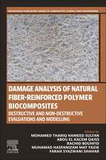 Damage Analysis of Natural Fiber-reinforced Polymer Biocomposites: Destructive and Non-destructive Evaluations and Modelling