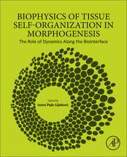 Biophysics of Tissue Self-Organization in Morphogenesis