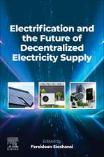 Electrification and the Future of Decentralized Electricity Supply