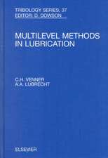 Multi-Level Methods in Lubrication