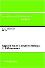 Applied Financial Econometrics in e–Commerce