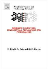 Membrane Contactors: Fundamentals, Applications and Potentialities