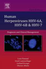 Human Herpesviruses HHV-6A, HHV-6B and HHV-7: Diagnosis and Clinical Management