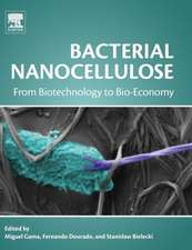 Bacterial Nanocellulose: From Biotechnology to Bio-Economy