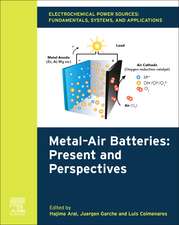 Electrochemical Power Sources: Fundamentals, Systems, and Applications: Metal–Air Batteries: Present and Perspectives