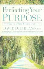 Perfecting Your Purpose: 40 Days to a More Meaningful Life