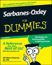 Sarbanes–Oxley For Dummies 2e