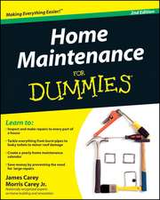 Home Maintenance For Dummies 2e