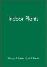 Indoor Plants