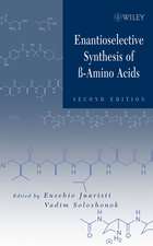 Enantioselective Synthesis of Beta–Amino Acids 2e