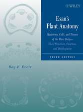 Esau′s Plant Anatomy – Meristems, Cells and Tissues of the Plant Body – Their Structure, Function and Development 3e