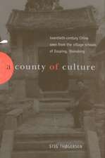 A County of Culture: Twentieth-Century China Seen from the Village Schools of Zouping, Shandong