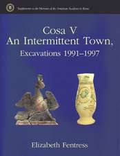 Cosa V: An Intermittent Town, Excavations 1991-1997